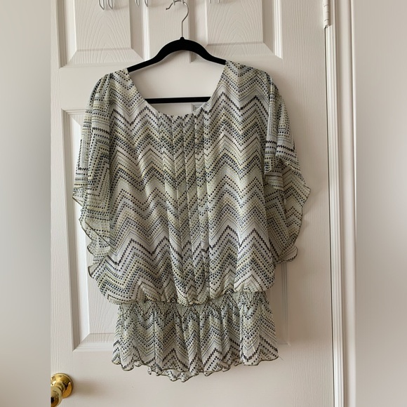 Pretty Plus Chiffon Blouse - Picture 1 of 4